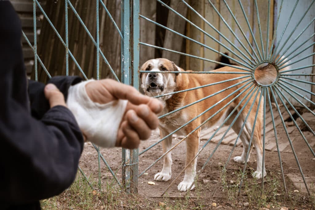 A man with an injured hand from a dog bite.